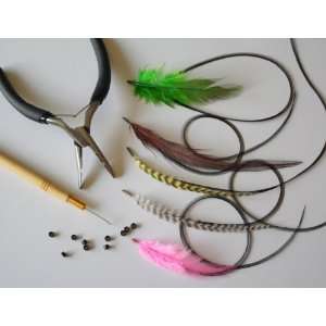  Feather Hair Extensions Kit Beauty