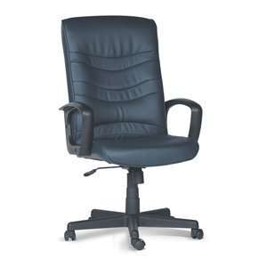   Executive Chair (0657 Berry) (48H x 25.5W x 28D) Furniture & Decor