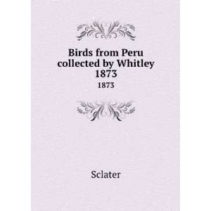  Birds from Peru collected by Whitley. 1873 Sclater Books