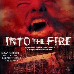  Into the Fire [Laserdisc] 