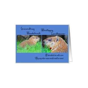  Groundhog Day, Two Groundhogs, One With Rose in Mouth Card 