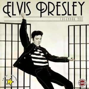  2011 Music Pop Calendars Elvis Presley   12 Months 