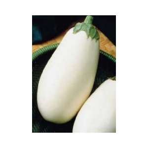  Eggplant seeds Cloud 9 Patio, Lawn & Garden