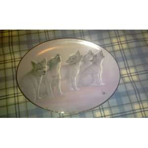   five wolves collector plate by the Bradford Exchanges 