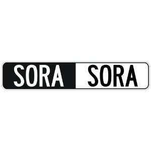   NEGATIVE SORA  STREET SIGN