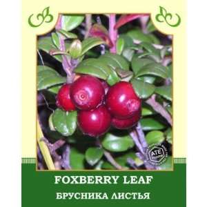  Foxberry Leaf 35g