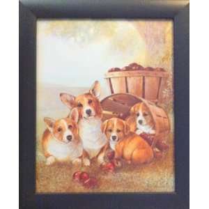  3 Framed Dogs/Puppies Corgi Labrador Yorkie Posters Patio 