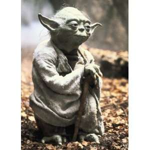  Star Wars Yoda Art Sleeves (50) Toys & Games