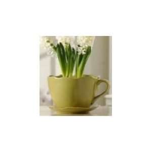  Giftcraft Light Green Teacup Pot Plant Outdoor Planter 