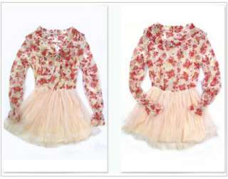 Sweety Womens Floral Long Sleeve Top Tulle Mini Dress  