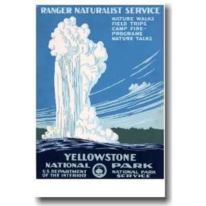  Yellowstone National Park   Geyser   Vintage Reprint 