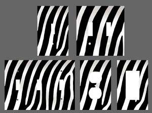 ZEBRA PRINT light switch plate, outlet covers  