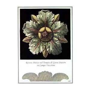   Rosette VIII   Artist Antonini  Poster Size 18 X 14