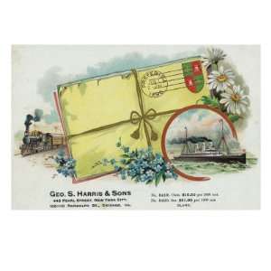  Scene of Love Letters Tied Up with Flowers Cigar Box Label 