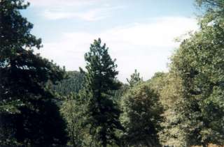 LARGE LOTS IN CEDARPINES PARK WITH AMAZING VIEW INTO THE VALLEY 