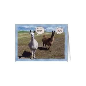  Lamas humorous 50th Birthday Card Toys & Games