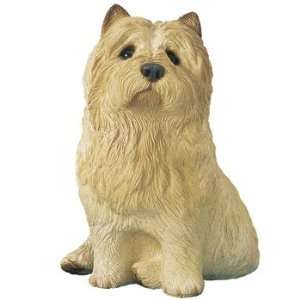  Cairn Terrier   Wheaten   by Sandicast