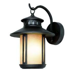  TransGlobe Lighting 5950 / 5952 Outdoor Wall Lantern with 