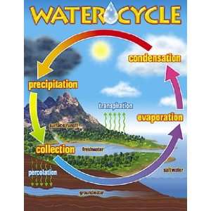  Water Cycle Chart; 17 x 22; no. T 38119
