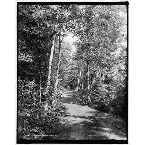  Leslie Avenue,Mackinac Island,Mich.