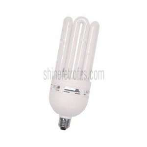   65W 5000K 10,000 Hour Compact Fluorescent CFL 70410