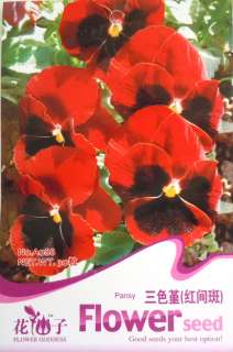 A088 Flower Red Pansy Viola Tricolor Winter Seed Pack  