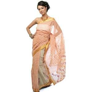   Sari with Golden Thread Weave on Border   Pure Cotton 