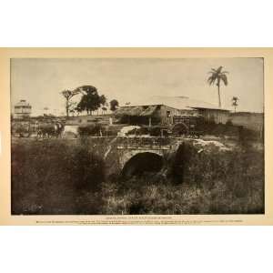  1899 Sugar Cane Plantation Santiago Province Cuba Print 