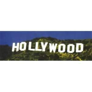 The Hollywood Sign   Door Poster 