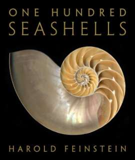   The Worlds Most Beautiful Seashells by Leonard Hill 