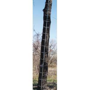  16 Woodsman Ladder Sticks