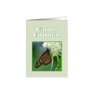  Happy Birthday Female Monarch Butterfly on White Milkweed 