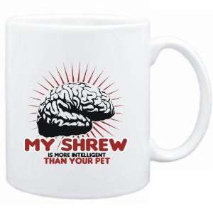   Shrew is more intelligent than your pet  Animals