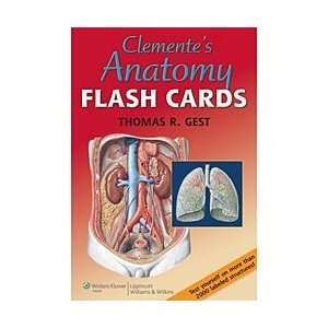 Clementes Anatomy Flash Cards  Industrial & Scientific