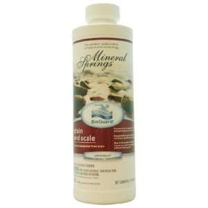  BioGuard Mineral Springs Stain and Scale   1 qt