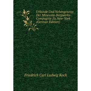   Zu New York (German Edition) Friedrich Carl Ludwig Koch Books