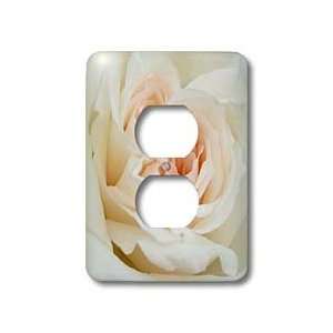 Taiche Photography   Rose White Heart   Light Switch Covers   2 plug 