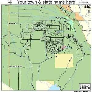  Street & Road Map of Gardnerville Ranchos, Nevada NV 