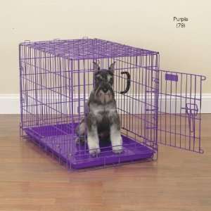   in. H x 24 in. W x 17 in. D Fold Down Dog Crate   Purple