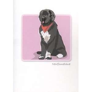  Grrreen Black and White Newfie Note Cards 