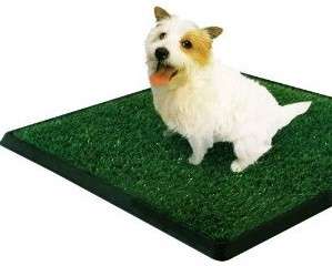 NEW Non Toxic GRASS LIKE PET POTTY TRAINING Indoor Park Patch Mat Pad 