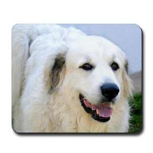 Great Pyrenees Pets Mousepad by 