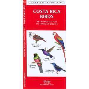  Costa Rica Birds An Introduction to Familiar Species 
