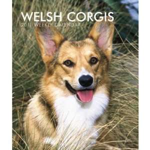  Welsh Corgi Dog 2011 Hardcover Weekly Engagement Calendar 
