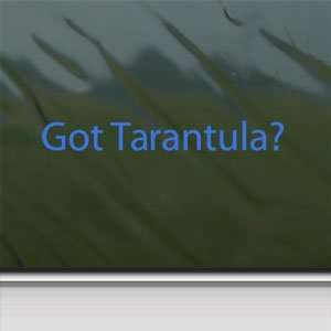 Got Tarantula? Blue Decal Spider Pet Animal Car Blue 