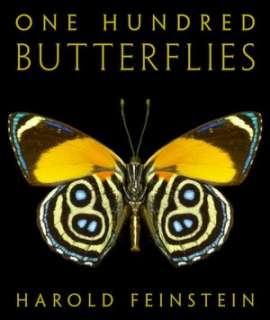   One Hundred Butterflies by Harold Feinstein, Little 