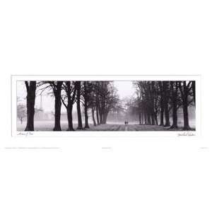   of Trees Finest LAMINATED Print Michael Hudson 20x8