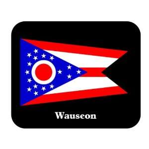  US State Flag   Wauseon, Ohio (OH) Mouse Pad Everything 