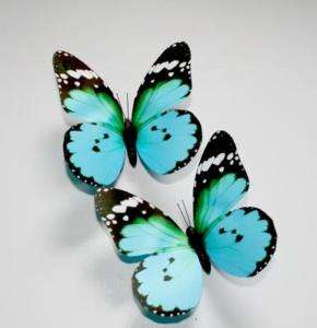 Blue Butterfly Wedding Favor/ Home Decoration NEW  