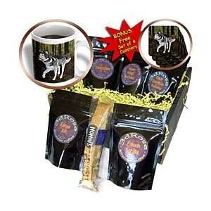 Boehm Digital Paint Animal   Wolf in the Forest   Coffee Gift Baskets 
